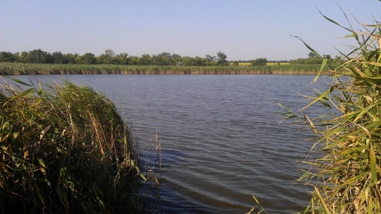 ПОЛИГОН "ВОЛЧЬИ ВОДЫ" 